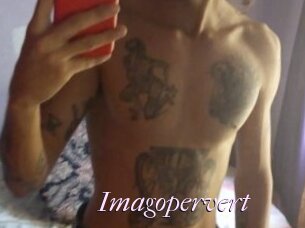 Imagopervert