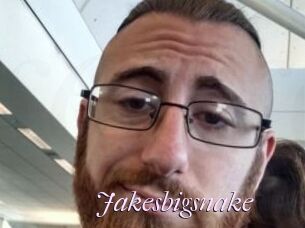 Jakesbigsnake