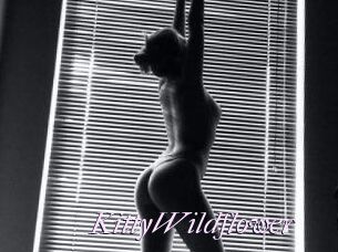 KittyWildflower