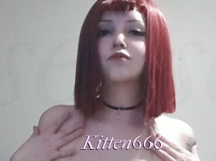 Kitten666