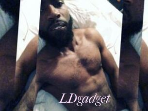 LDgadget