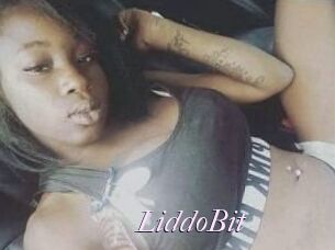 LiddoBit