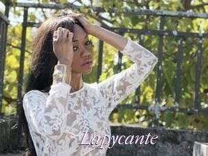 Lapycante