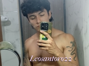 Leosantoro22