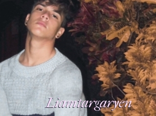 Liamtargaryen
