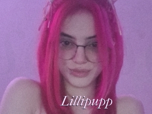 Lillipupp