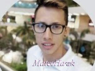 MateoHawk