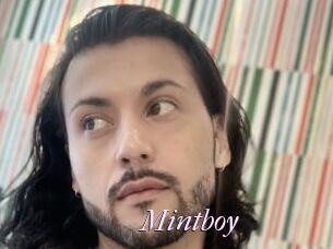 Mintboy
