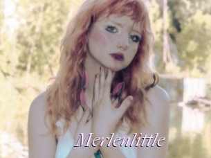 Merlenlittle