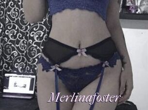 Merlinafoster