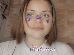 Mischarm