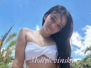 Mollylevinsky