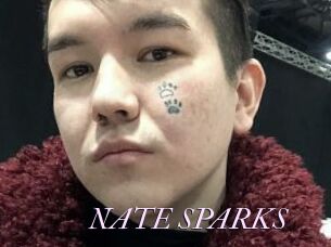 NATE_SPARKS