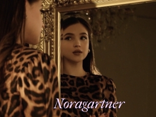 Noragartner
