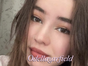 Odellagarfield