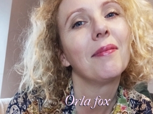 Orla_fox