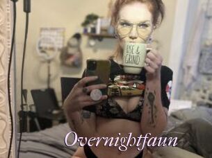 Overnightfaun