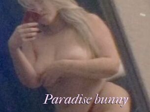 Paradise_bunny
