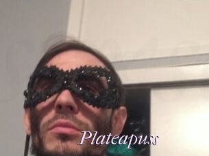 Plate_a_puss