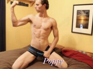 Poppy_
