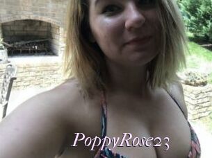 PoppyRose23