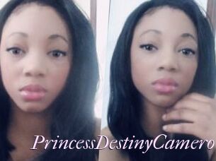 PrincessDestinyCamero