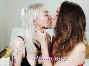 Puma_maa