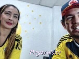 Pegasso_love