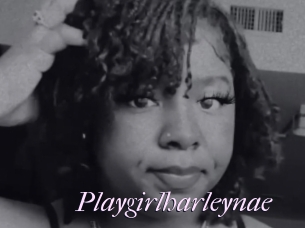 Playgirlharleynae