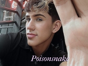 Poisonsnake