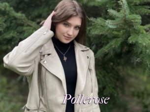 Pollerose