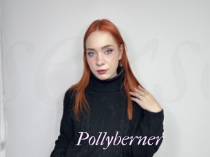Pollyberner