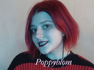 Poppyblom