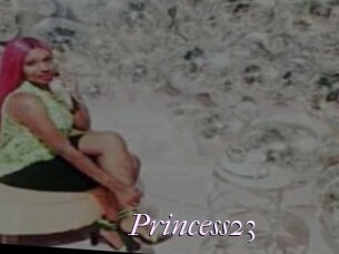 Princess23