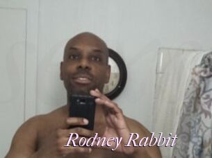 Rodney_Rabbit