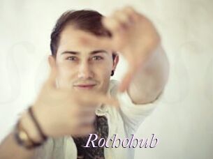 Rochohub