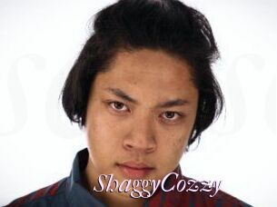 ShaggyCozzy
