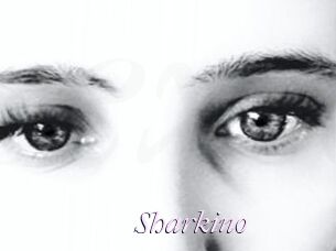 Sharkino