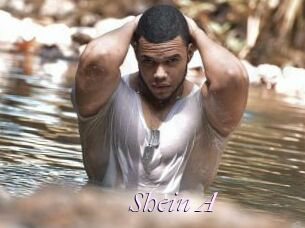 Shein_A