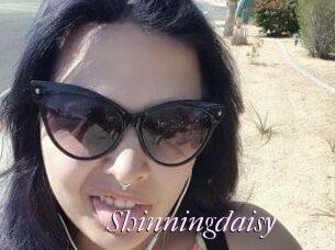 Shinningdaisy