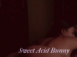 Sweet_Acid_Bunny