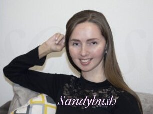Sandybush