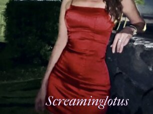 Screaminglotus