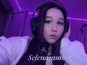 Selenagambee