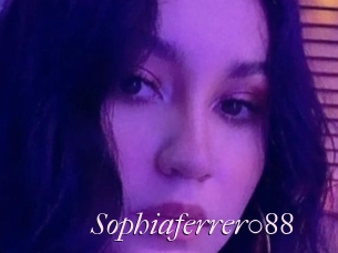 Sophiaferrer088
