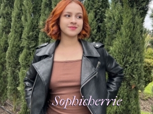 Sophicherrie