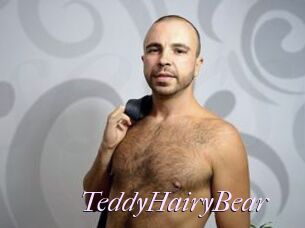TeddyHairyBear