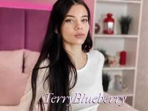 TerryBlueberry