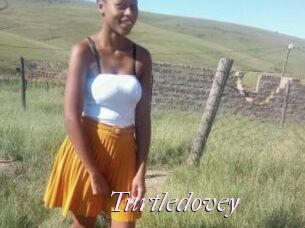 Turtledovey