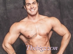 Thebig22cm